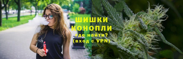 spice Алексин