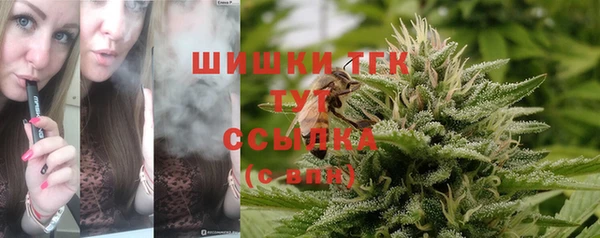 spice Алексин