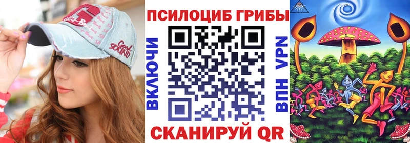 hydra ссылка  Кропоткин  Галлюциногенные грибы мицелий 