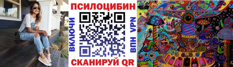 Галлюциногенные грибы Psilocybine cubensis Кропоткин